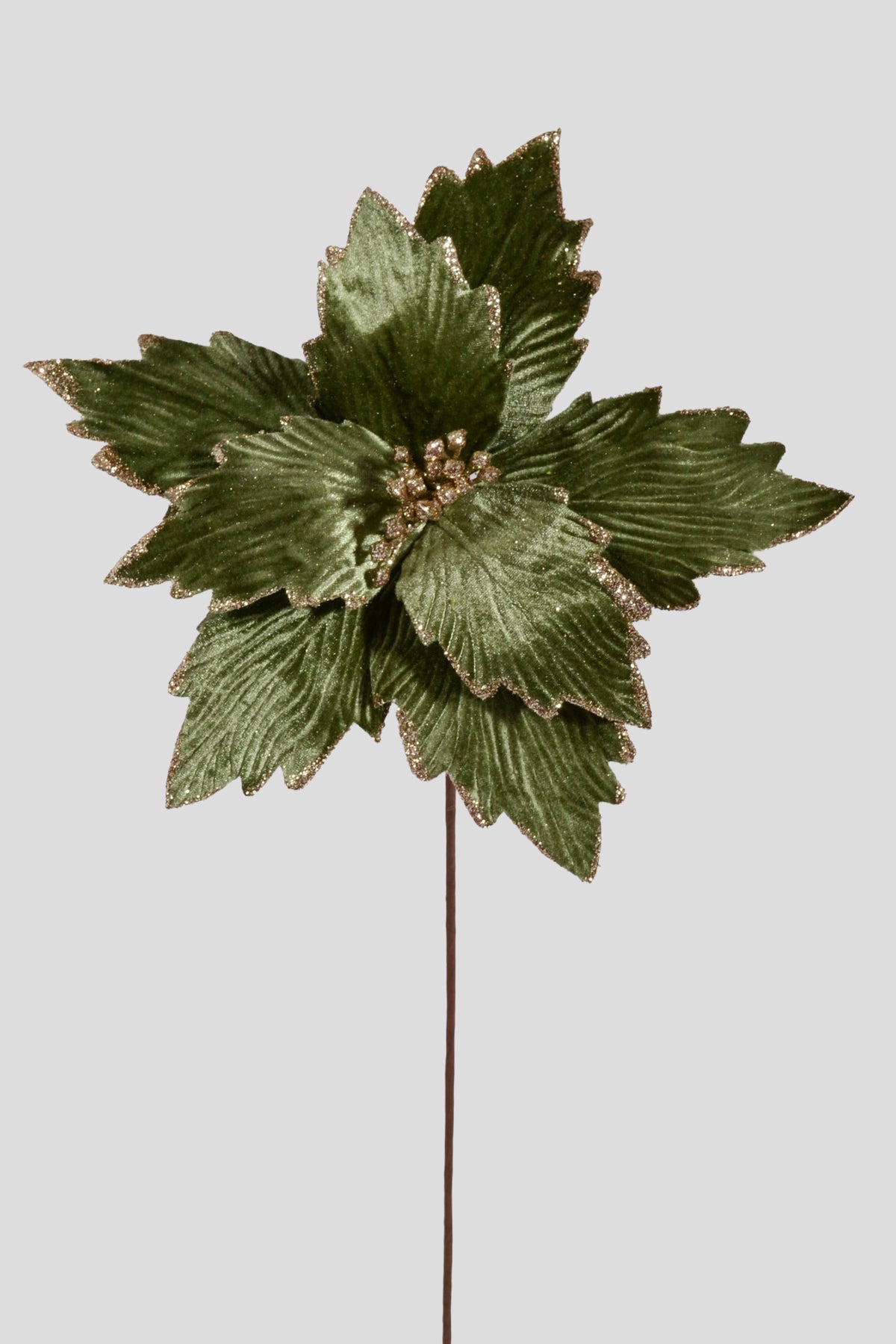 25" Poinsettia Stem Green/Gold
