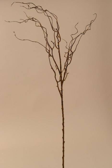 45" Twig Branches Brown