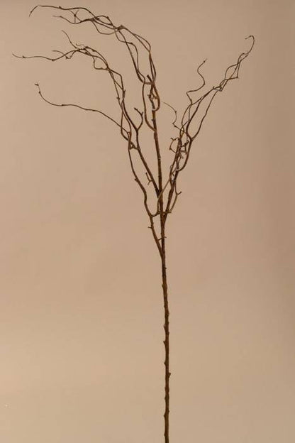 45" Twig Branches Brown