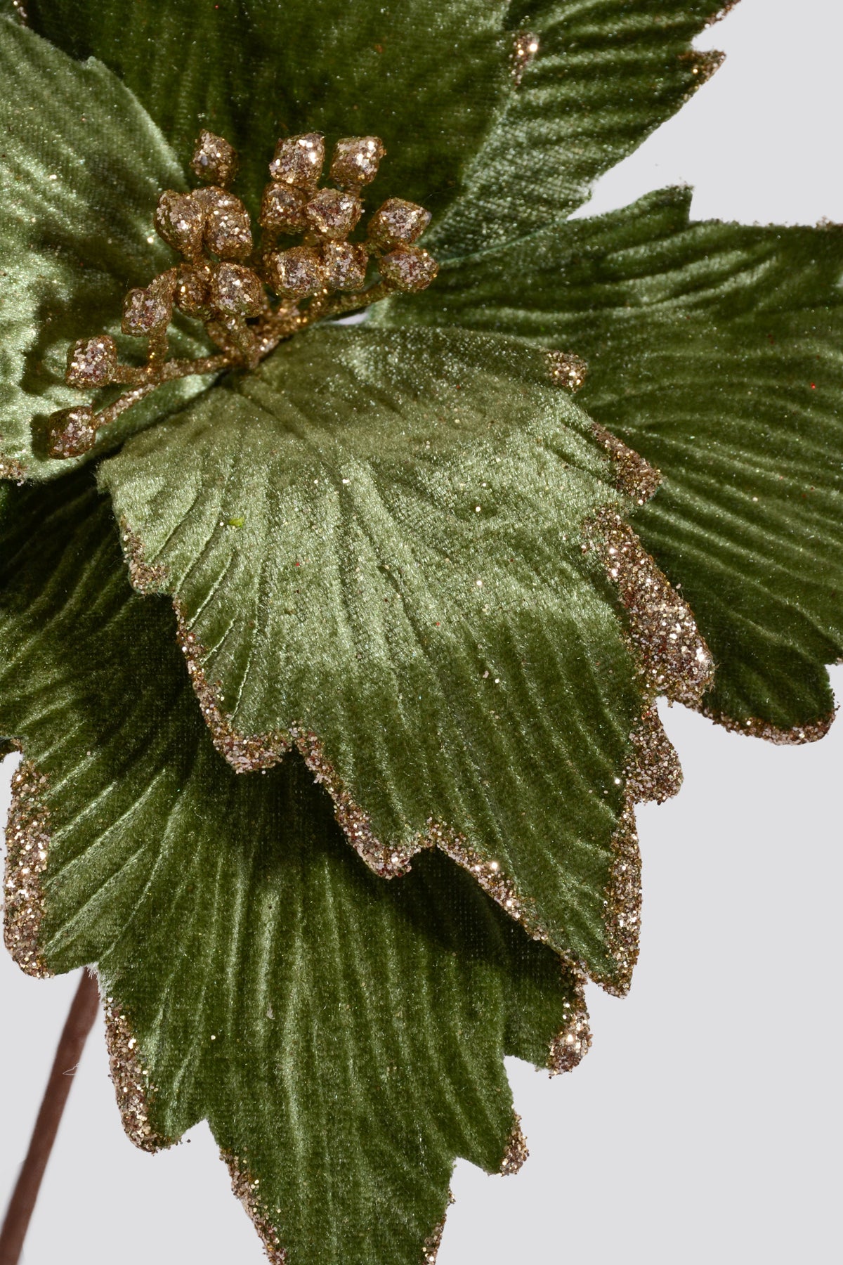 25" Poinsettia Stem Green/Gold