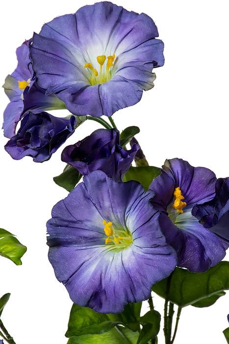 31" Silk Morning Glory Spray Lavender/purple