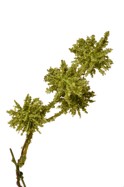 33" Thistle Branch Green