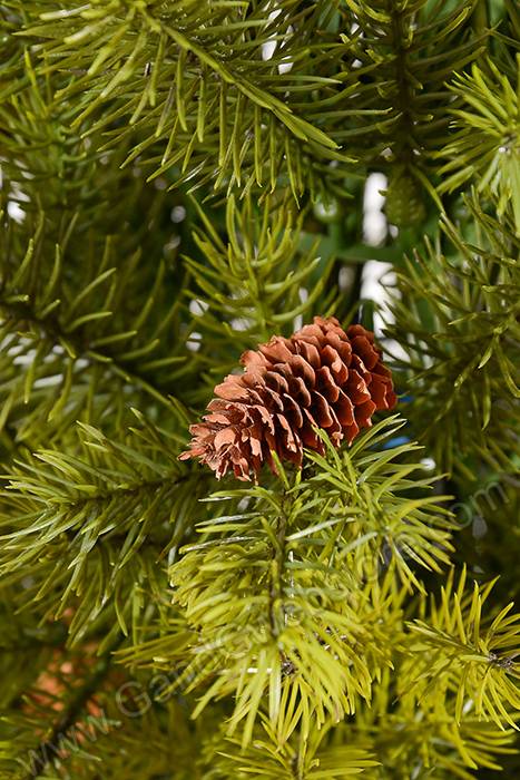 30" Pine Cone Topiary Green