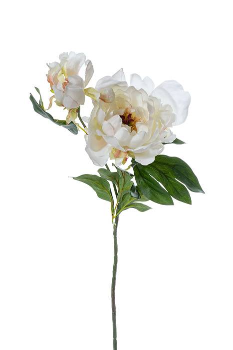 19.5" Silk Peony Spray W/bud Cream