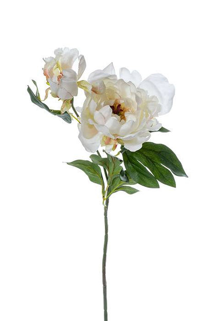 19.5" Silk Peony Spray W/bud Cream