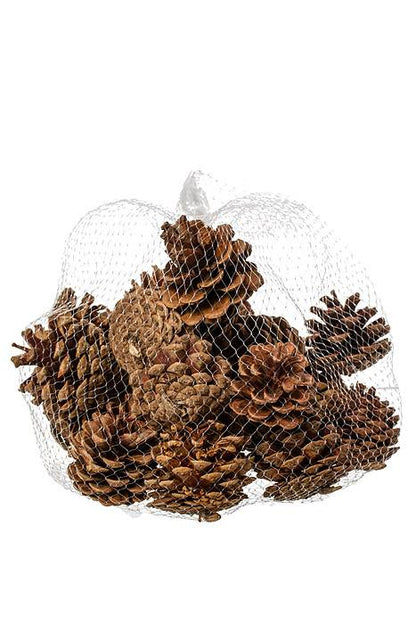 2-2.5" Pine Cone Natural Pkg/1lb