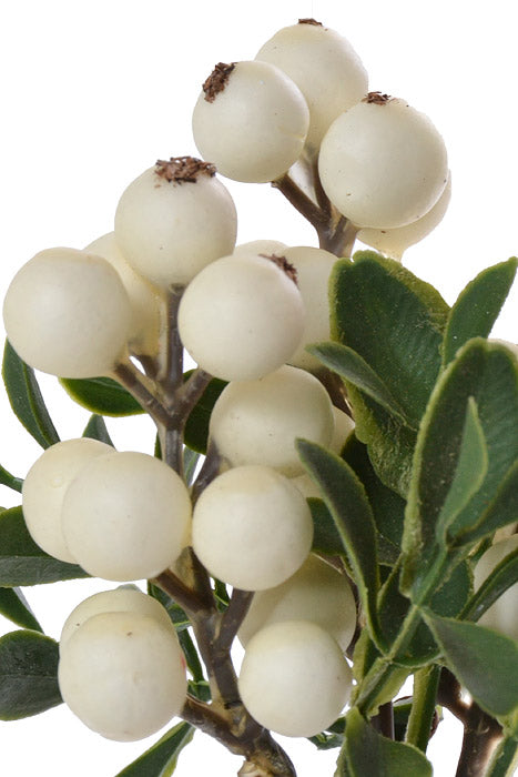 8&quot; Berry/Boxwood Pick White