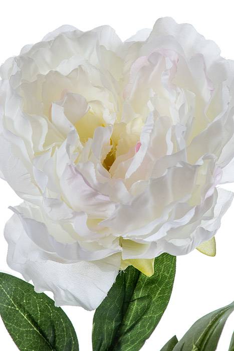 29" Silk Peony Spray Cream