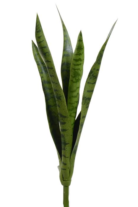 23.75" Mother-in-law&