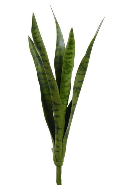 23.75" Mother-in-law&