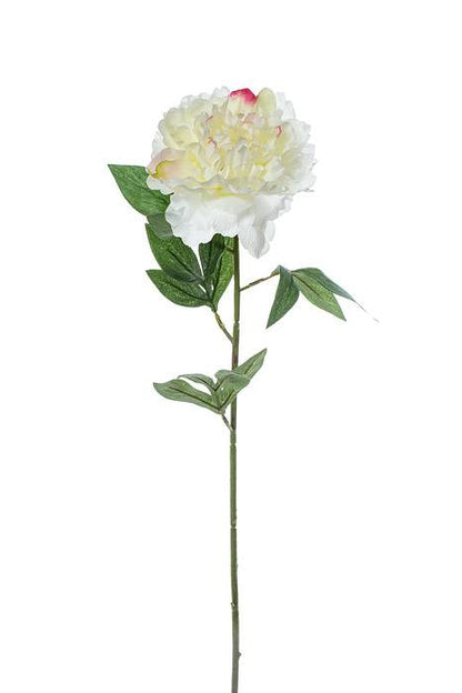 27.5" Pearl Silk Peony Spray Cream/rubrum