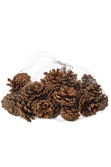 1.5-2" Pine Cone Natural Pkg/1lb