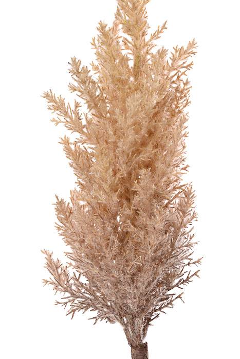 37" Pampas Grass Spray Tan