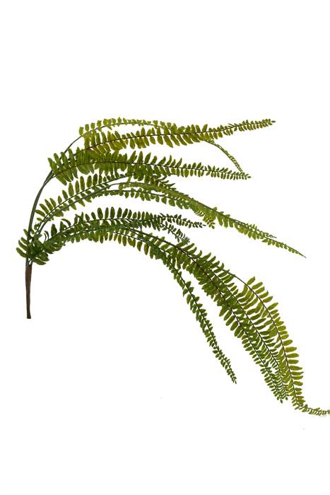 30" Fern Hanging Bush Green