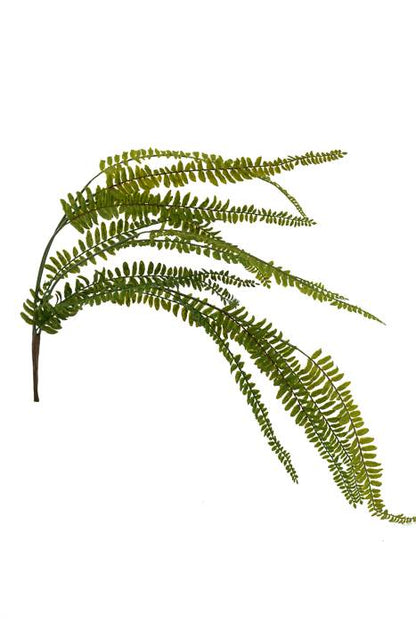 30" Fern Hanging Bush Green