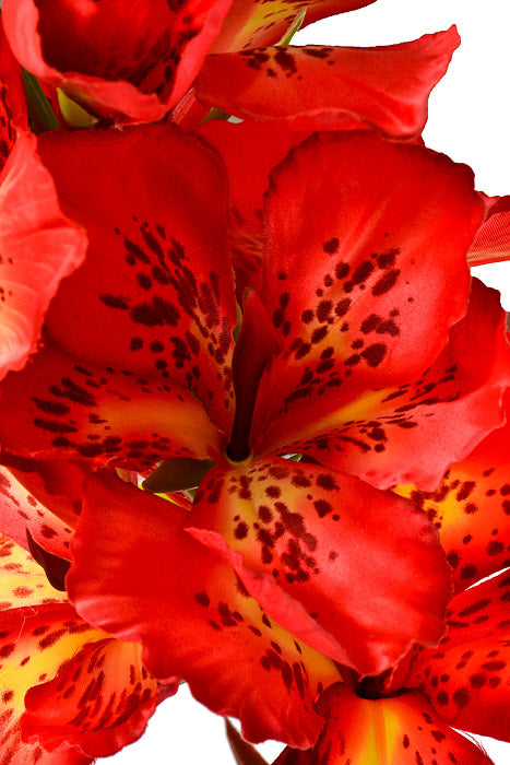 48" Silk Canna Lily Spray Red