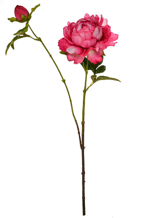 25" Silk Peony Spray Hot Pink