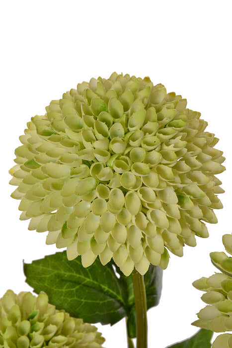 28.5&quot; Silk Dahlia Spray Cream/Green