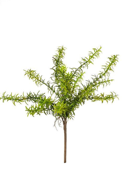 17&quot; Rosemary Bush Green