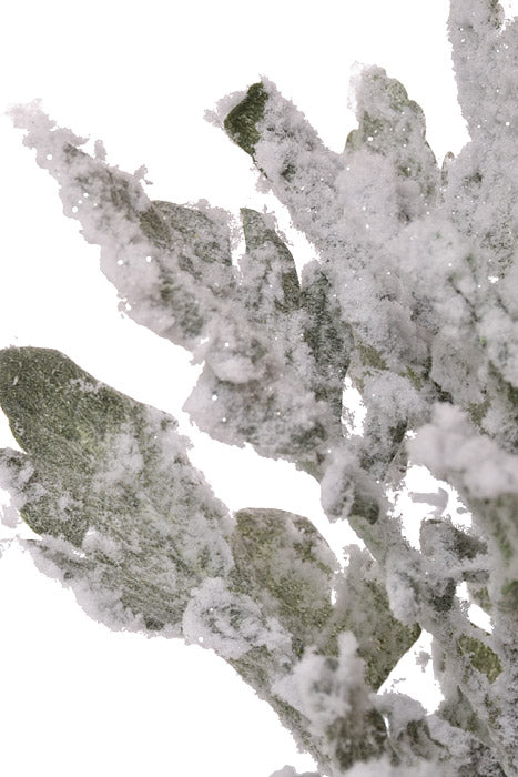 18.5 Snowed Dusty Miller Spray Green