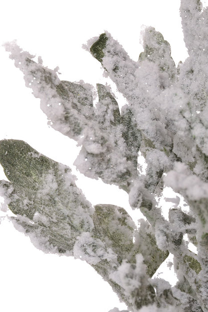18.5 Snowed Dusty Miller Spray Green