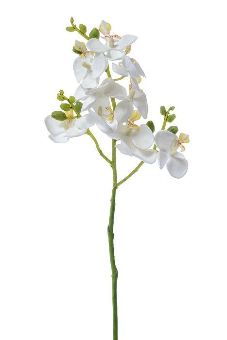 20" Silk Phalaenopsis Stem White