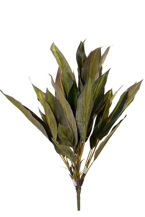 18.5&quot; Dracaena Bush Green
