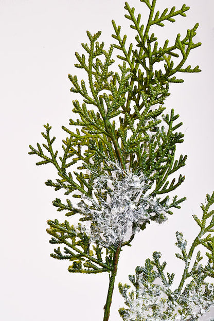 45" Iced Cedar Spray Green