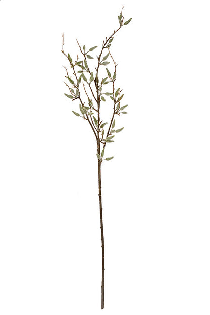 37.5" Pussy Willow Spray Gray/Green