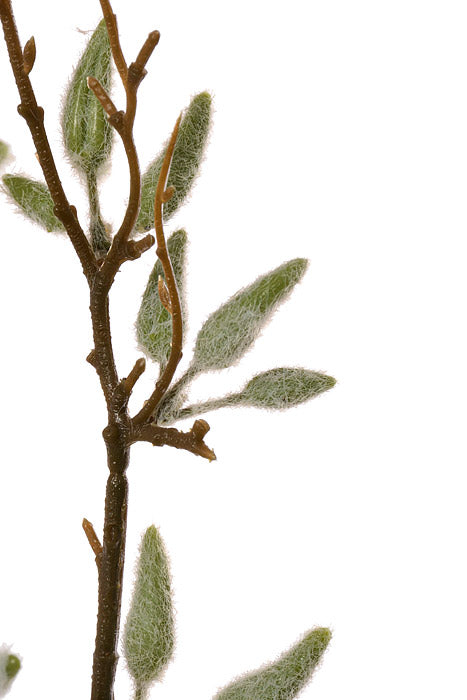 37.5" Pussy Willow Spray Gray/Green