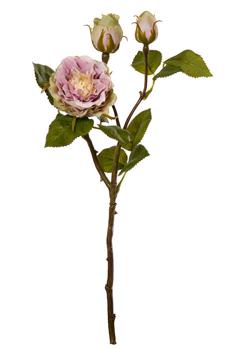 18.75" Silk Rose Spray Cream Lavender