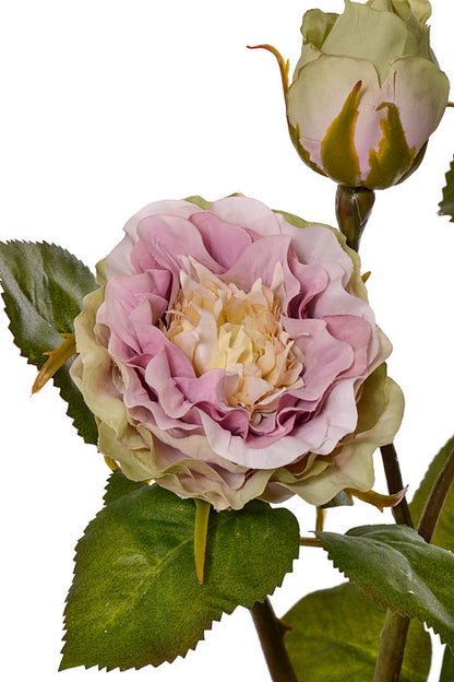 18.75" Silk Rose Spray Cream Lavender