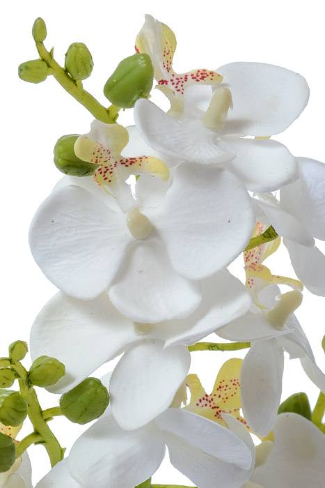 20" Silk Phalaenopsis Stem White