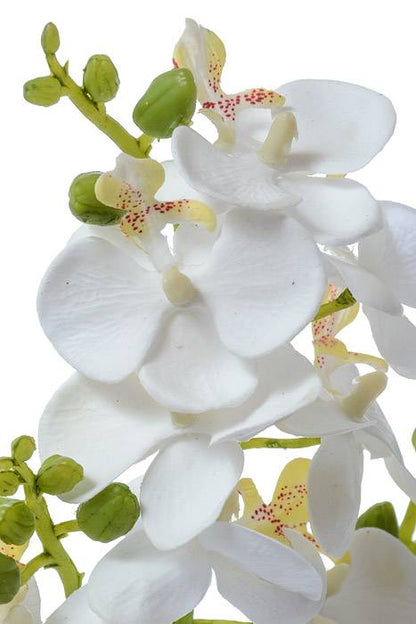 20" Silk Phalaenopsis Stem White