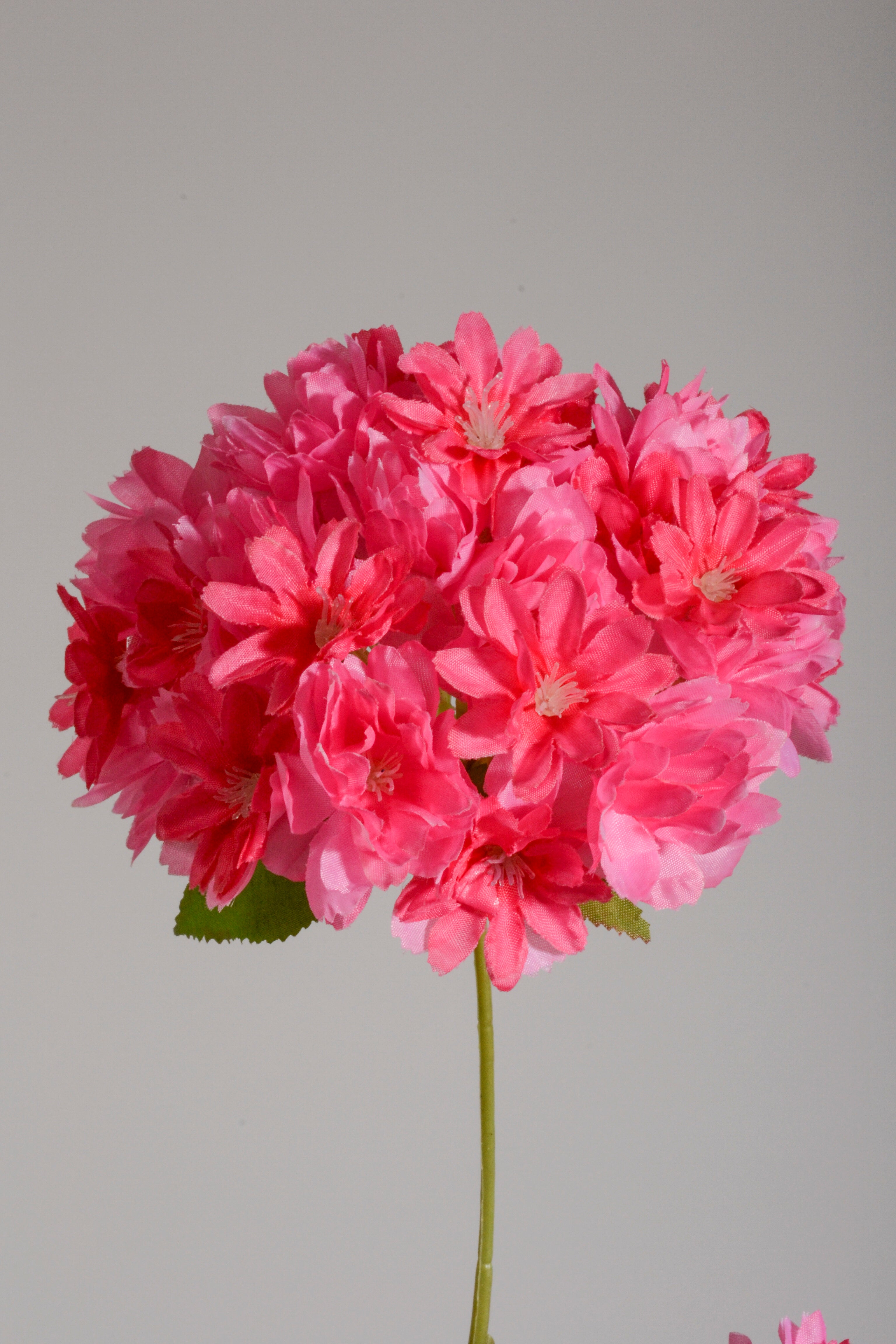 27.5" Silk Cherry Blossom Spray Hot Pink