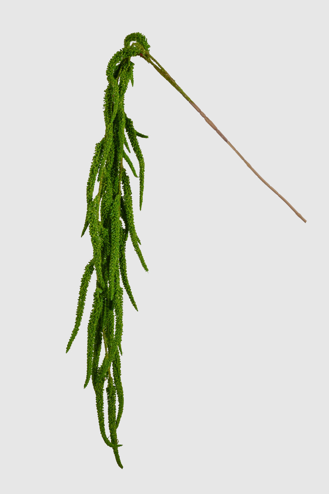 41.75" Amaranthus Hanging Spray Green