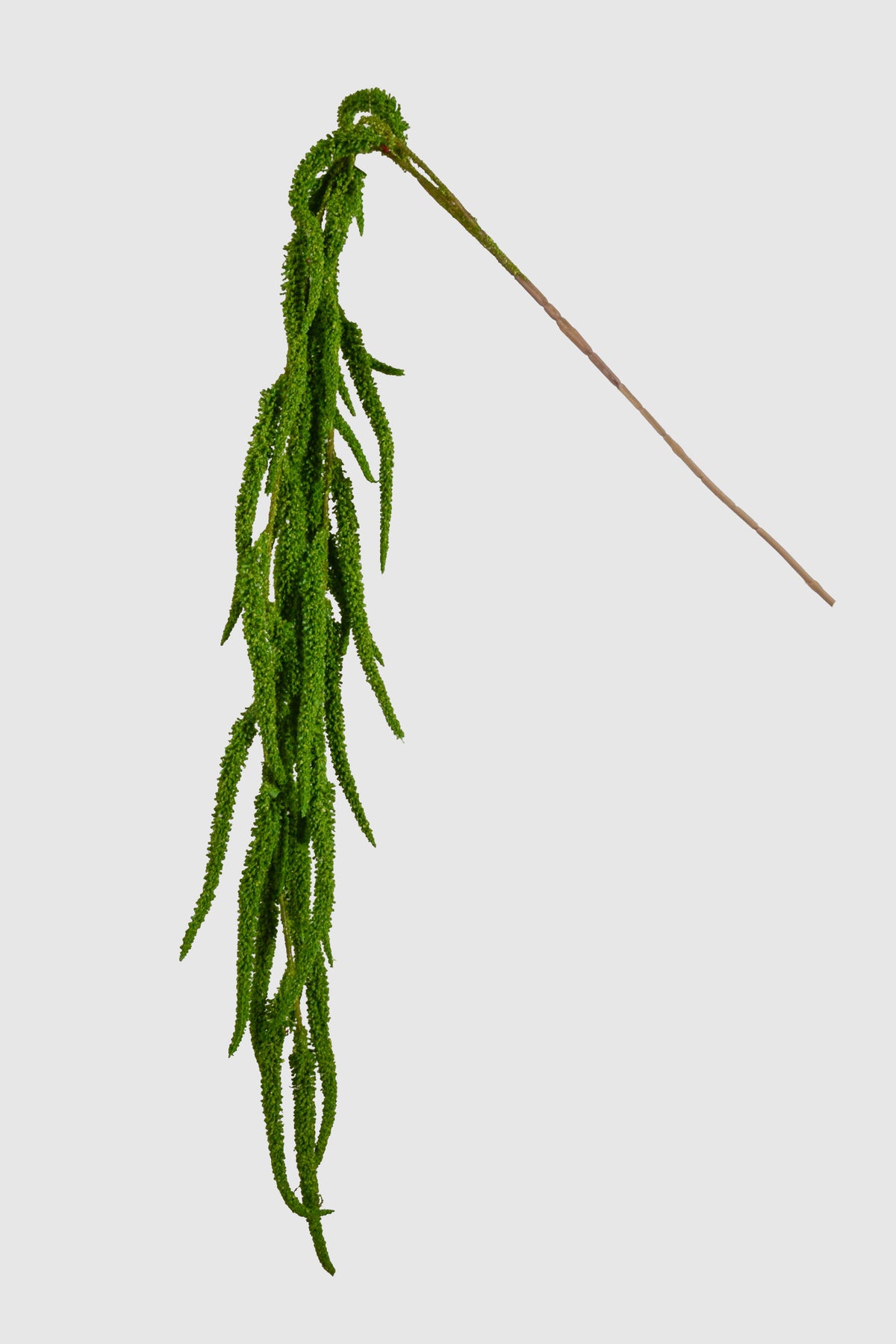 41.75" Amaranthus Hanging Spray Green