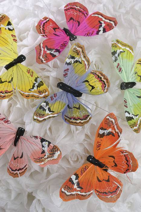 5" Butterfly Assorted Pkg/12