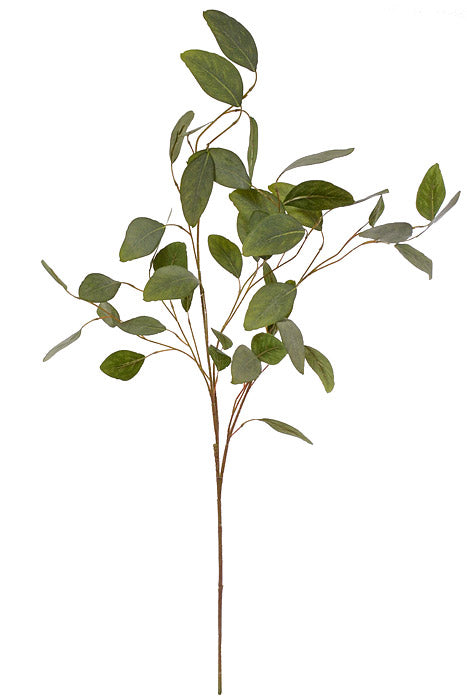 35" Eucalyptus Leaf Spray Green