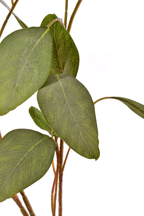 35" Eucalyptus Leaf Spray Green
