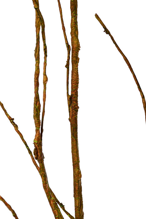 50" Twig Spray Brown