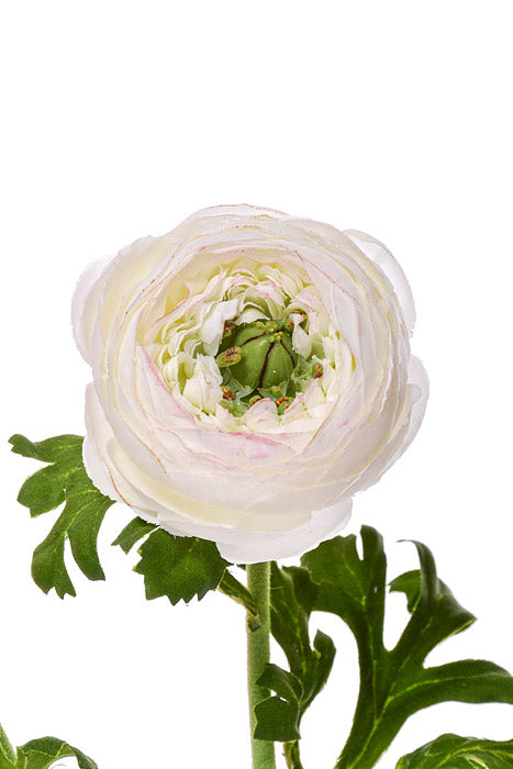 13" Silk Ranunculus Spray White/Burgundy