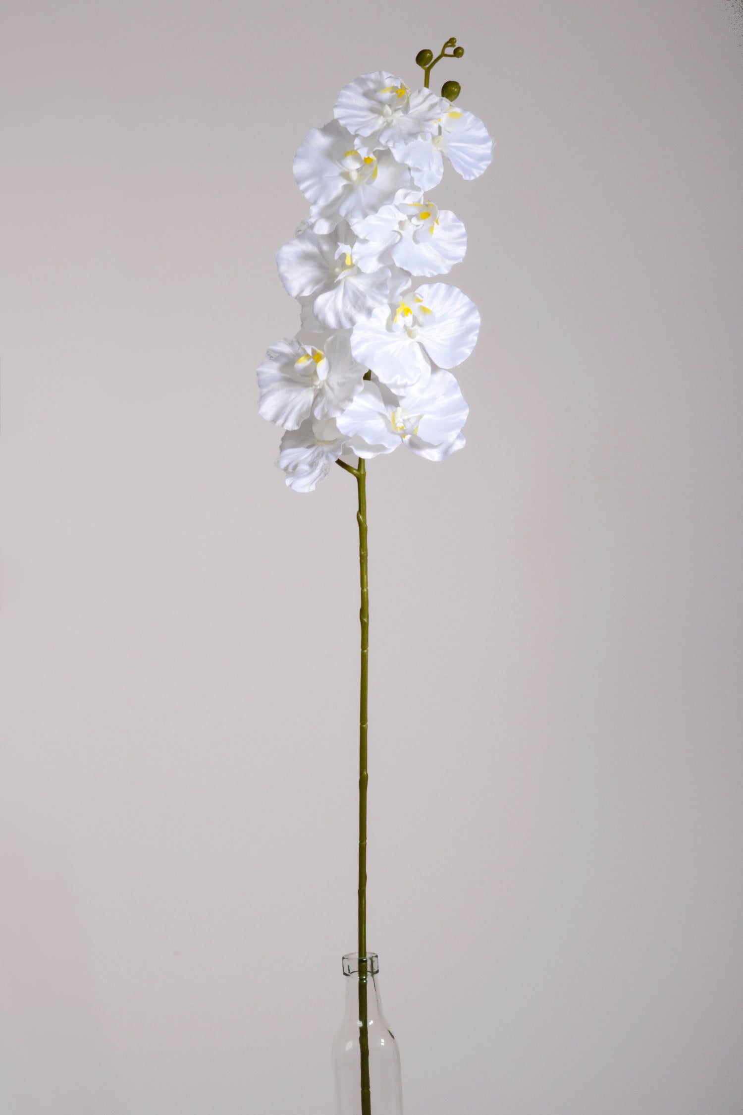 39.5" Silk Phalaenopsis Spray White