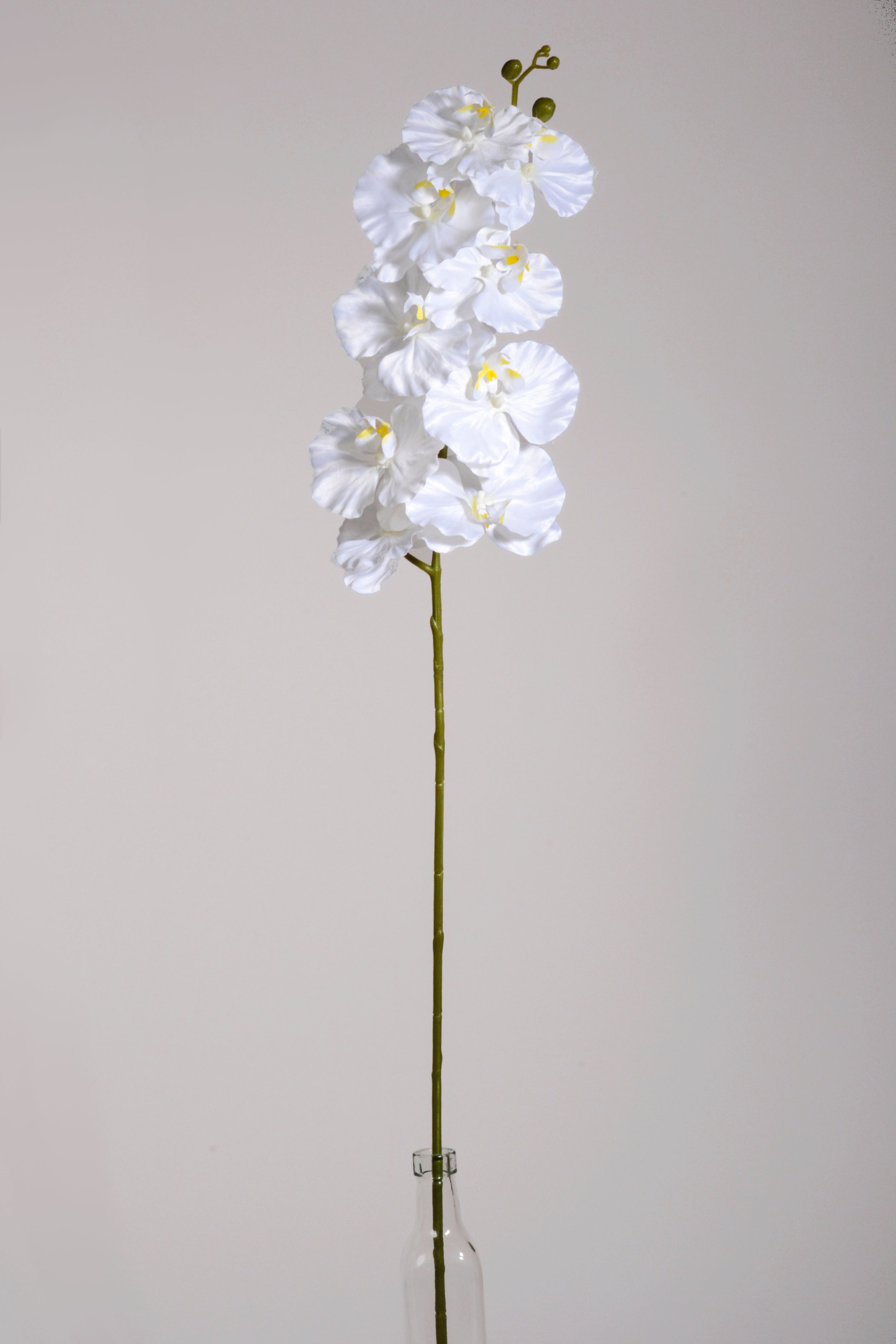 39.5" Silk Phalaenopsis Spray White