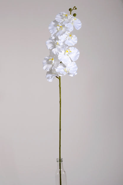 39.5" Silk Phalaenopsis Spray White