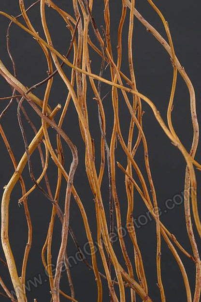 56" Curly Willow Natural