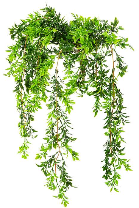 26&quot; Tea Leaf Vine Green