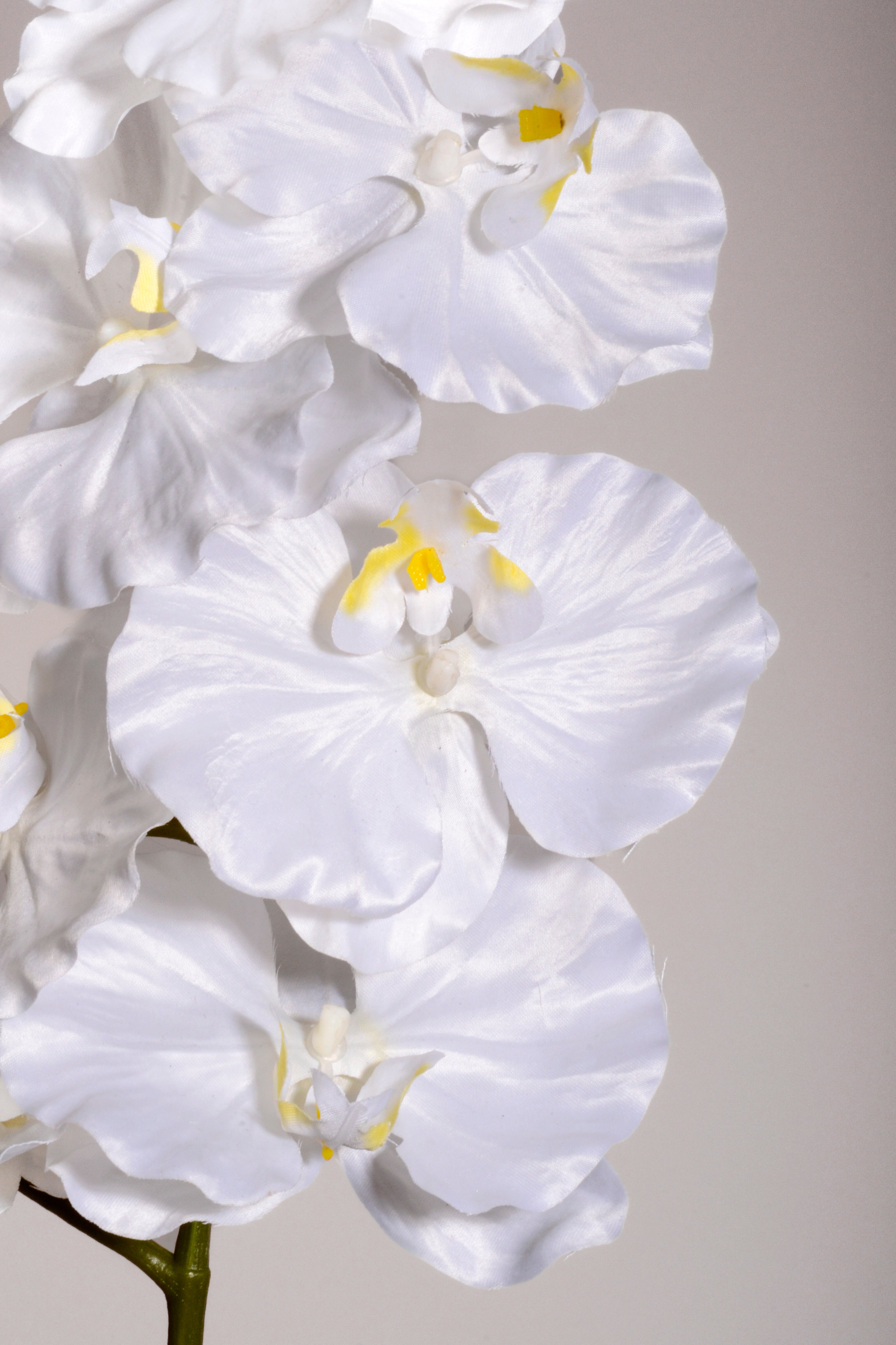 39.5" Silk Phalaenopsis Spray White