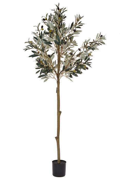 58" Potted Olive Leaf Topiary Green