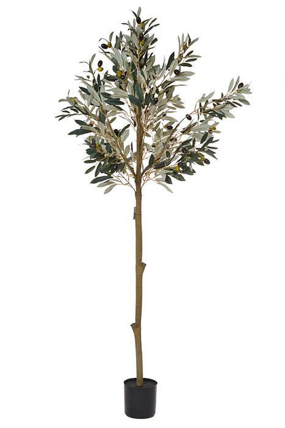 58" Potted Olive Leaf Topiary Green